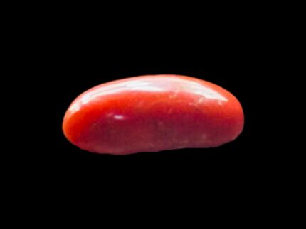Tunisian Coral 2026-0046