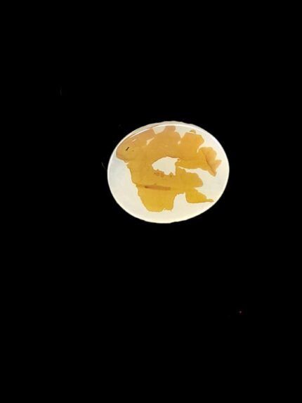 Picture Agate (Natural) 2026-0098