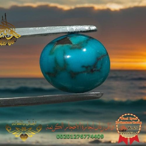 Made with LogoLicious Add Your Logo App